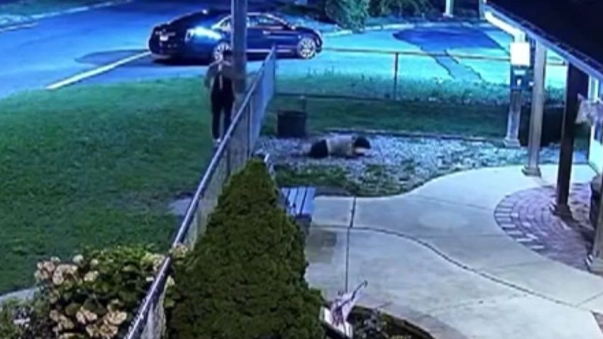 Video shows a man dumping a dog over the fence at the Humane Society of Atlantic County.