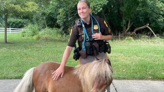 An officer with the New Castle County Police Department in Delaware poses with a pony that was found and returned to its owner on Monday, July 29, 2024.