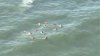Officials issue safety warning after 9 rescued from rip currents in Ocean City