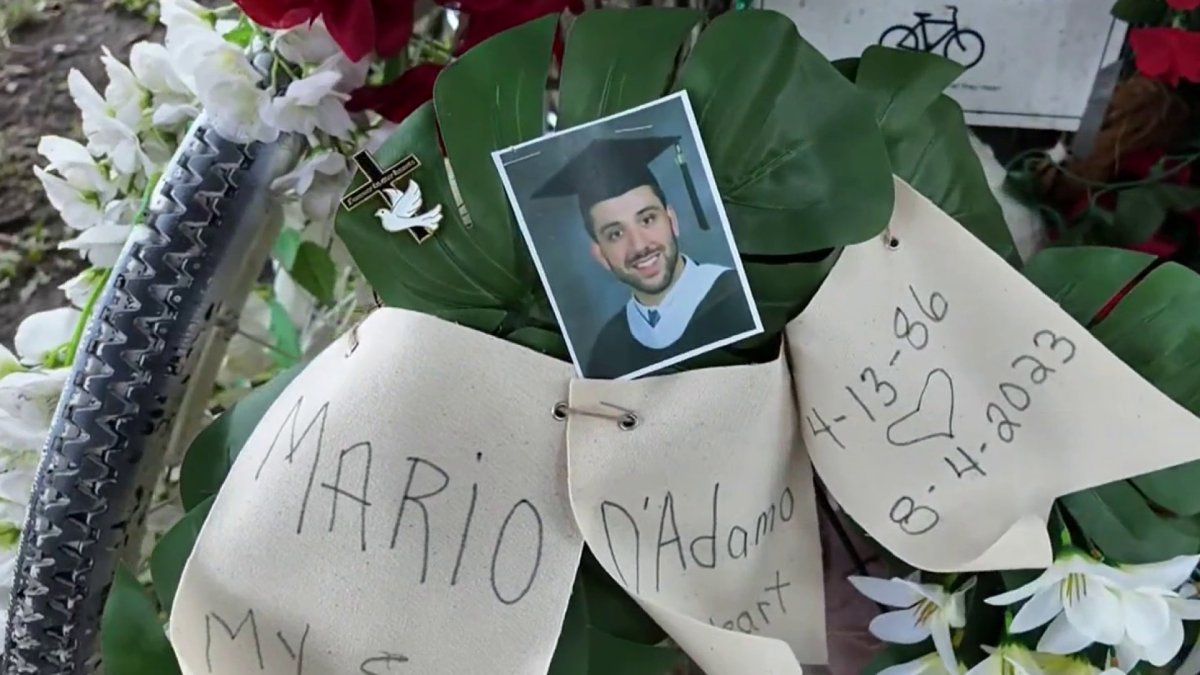 Driver sentenced after 2023 DUI crash killed bicyclist in Philadelphia park