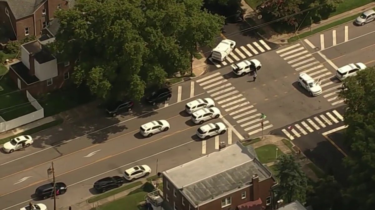 Man shot in the head in Northeast Philly, police say – NBC10 Philadelphia