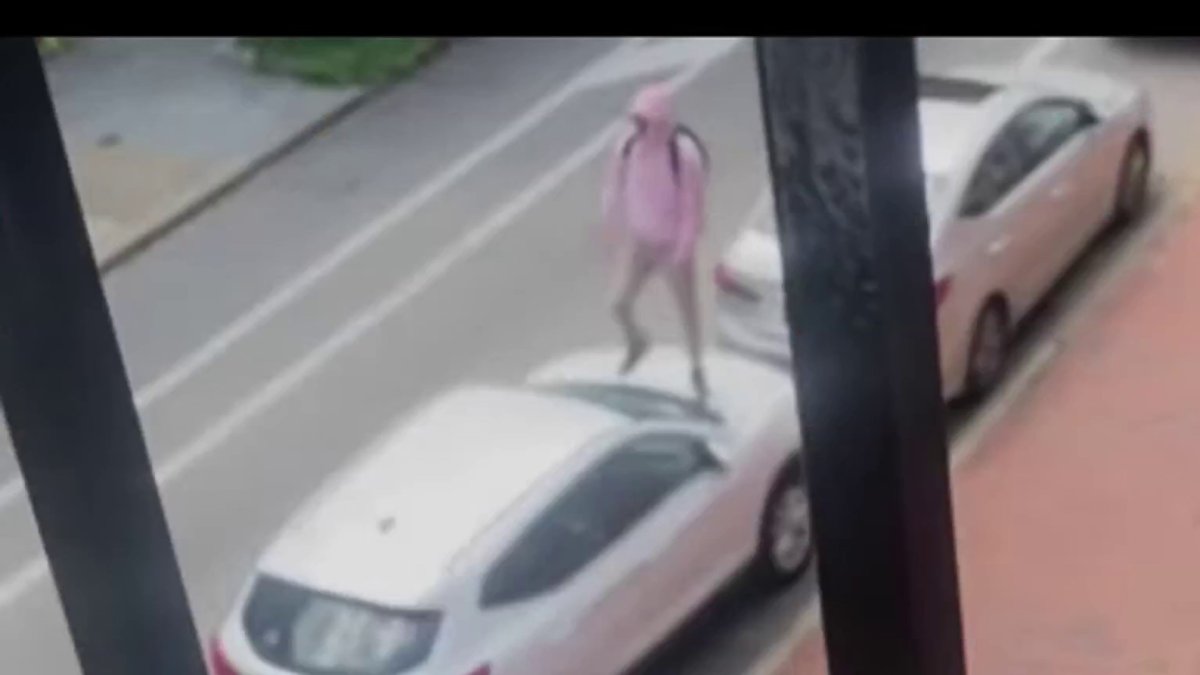 Police searching for windshield-smashing suspect seen on video ...