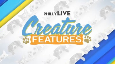 Creature Features: Finding forever homes for animals in the Philly area