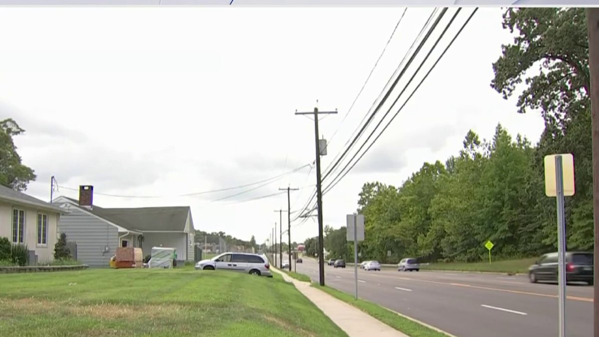 Man recovering in hospital after getting trapped under tree in New ...