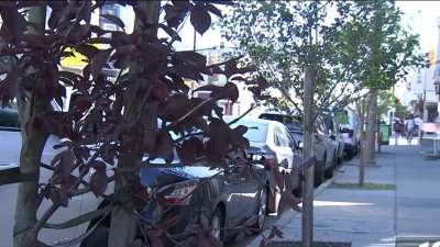 Alleviating Philadelphia's urban heat hot spots with trees