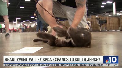 Brandywine Valley SPCA expanding into South Jersey