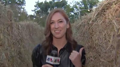 You can meander in a hay maze without needing to leave Philadelphia's Fairmount Park