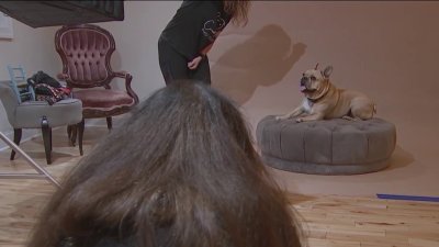 Delco woman turns her hobby for pet photography into a business strictly for animals