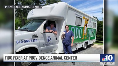 Fido Fixers: Delco animal shelter wheels out spay and neuter vans