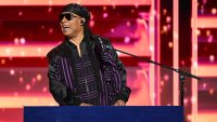 US musician Stevie Wonder performs on the third day of the Democratic National Convention