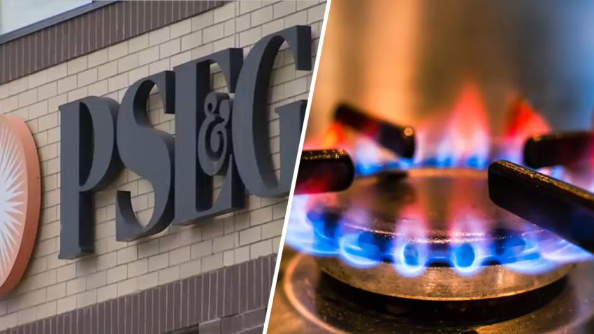 Logo reads PSE and G next to a photo of a gas stove that is lit.