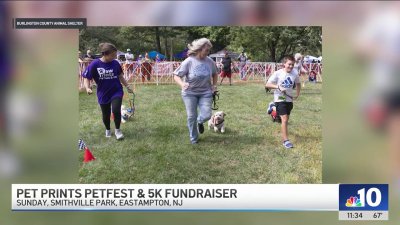 Paw Prints PetFest & 5K to help unhoused animals in Burlington County