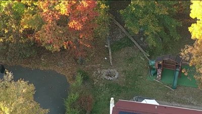 Tree branch falls and kills 12-year-old boy while he was playing near a playground