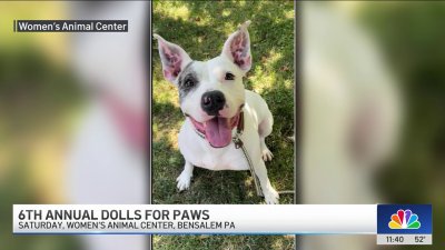 Dolls for Paws and how you can help