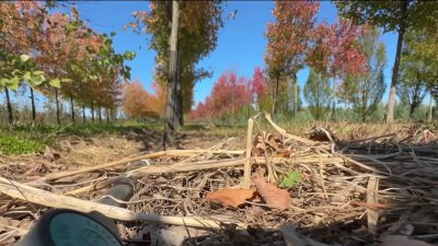 New Jersey under statewide drought watch, as dry October continues