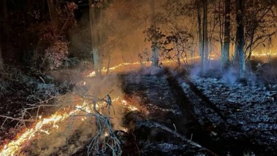 Crews respond to a large brush fire in Elsmere Park