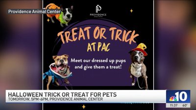 This trick-or-treat event is for the dogs