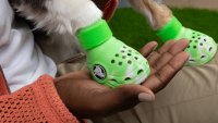 Pet Crocs