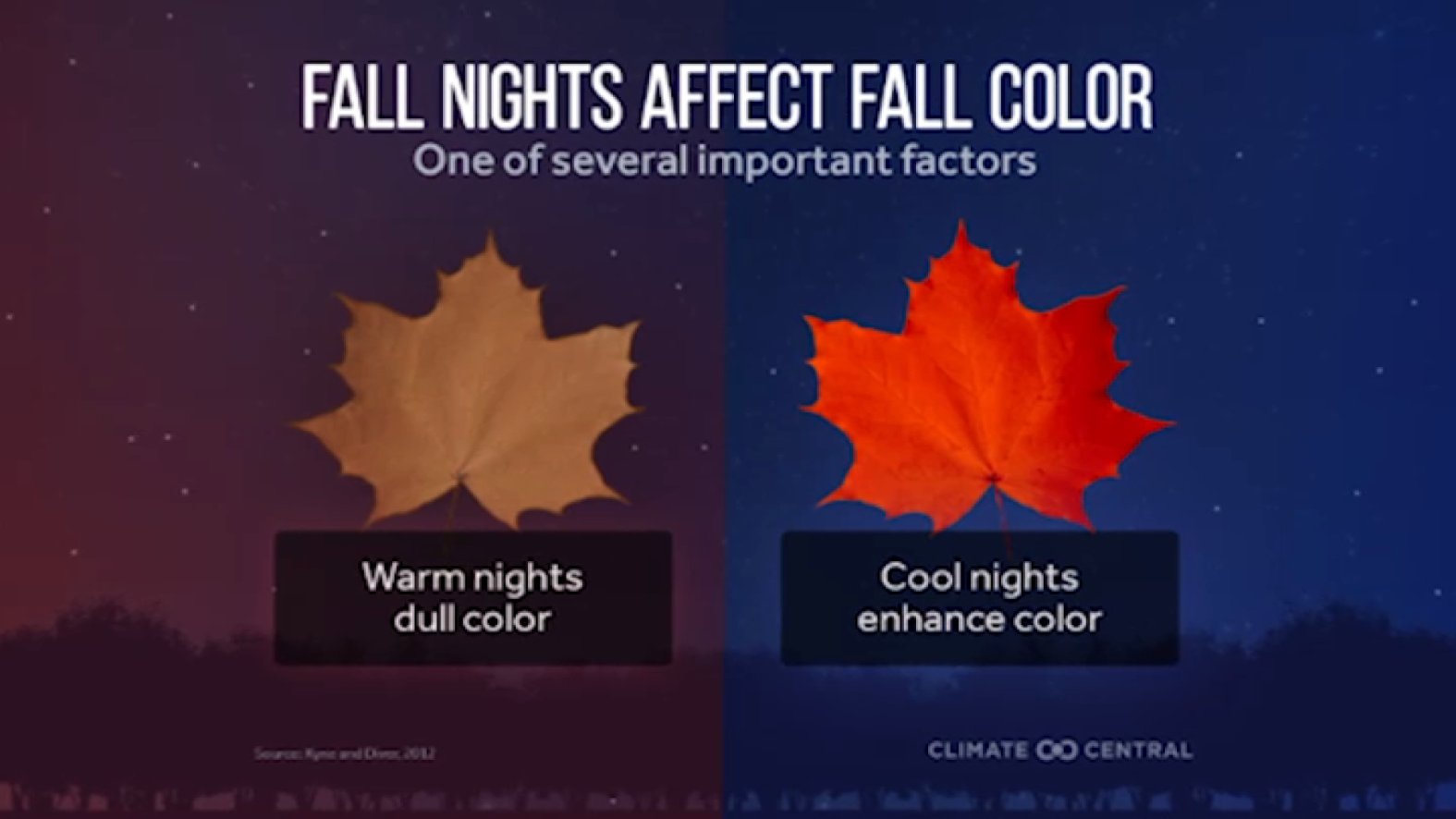 Climate change blamed for turning fall leaf colors dull – NBC10 ...