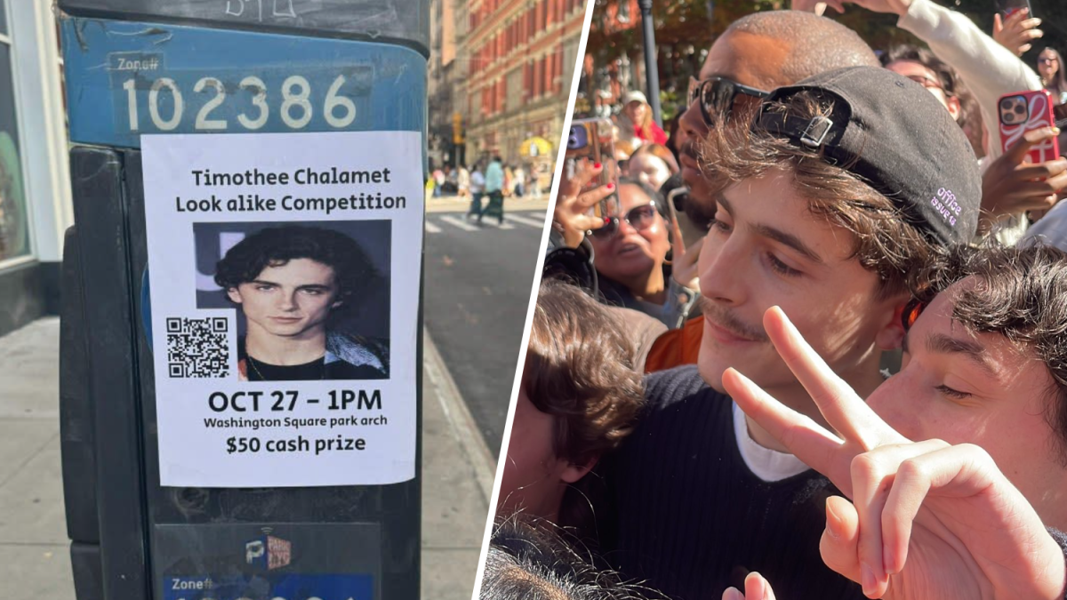 Timothée Chalamet look-alike contest: actor crashes crowd at NYC park