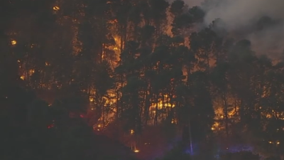 Crews in Medford, NJ got wildfire 100% contained after it spread 30 acres