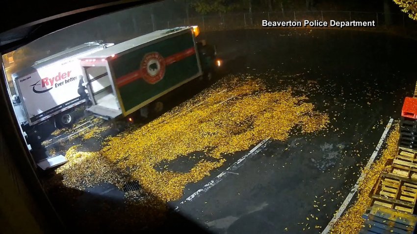 A woman clinging to the back of a truck as it drives away.