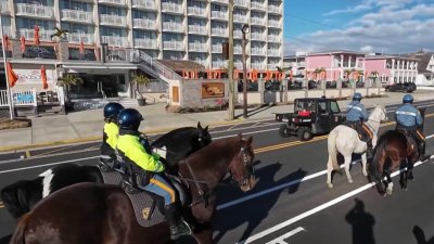 Dozens of horses, police officers take over Jersey Shore town for unique training session