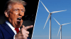 Trump has vowed to kill US offshore wind projects. Will he succeed?