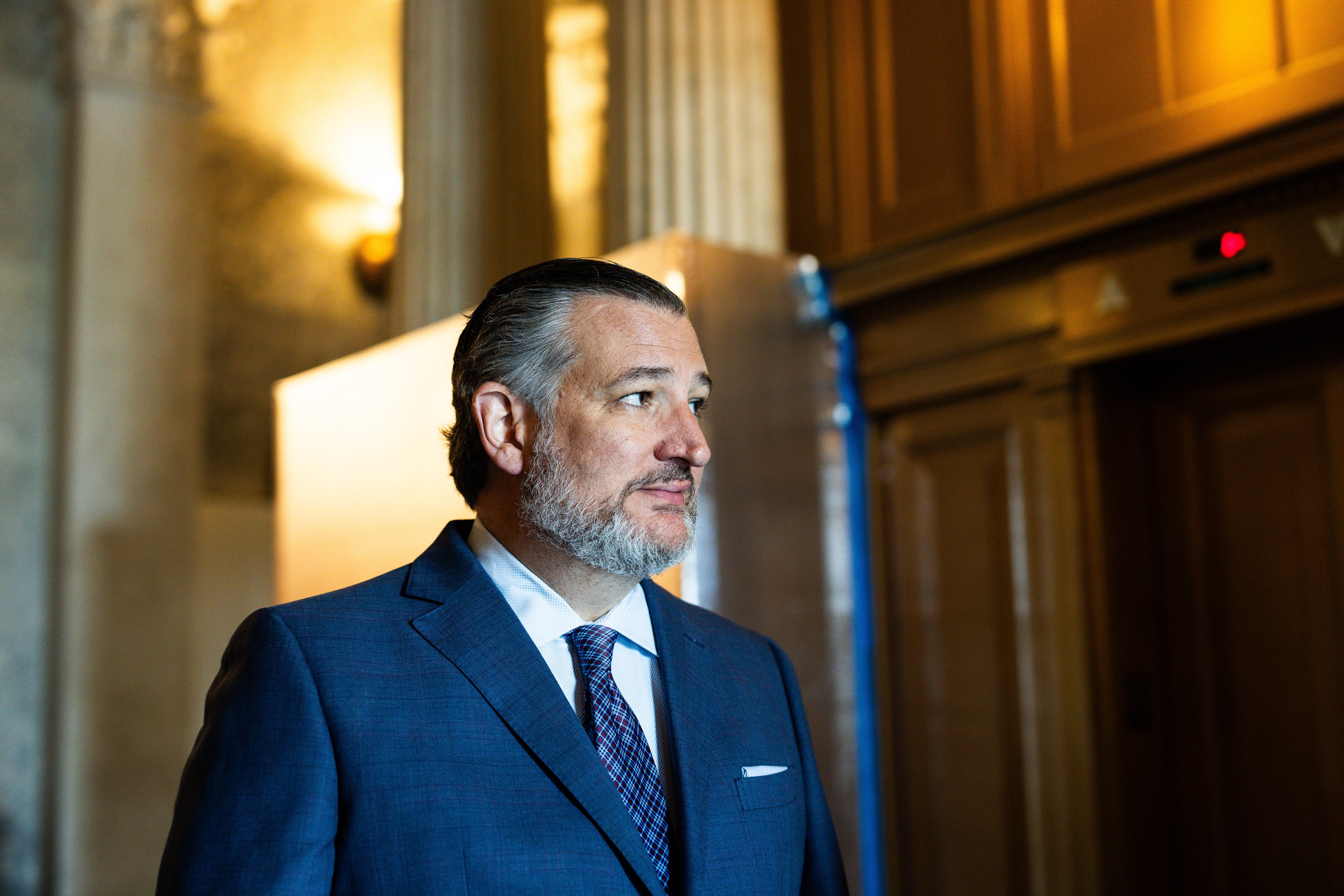 Sen. Ted Cruz calls for elections in Venezuela to proceed ‘rapidly'