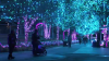 Philadelphia Zoo brings back LumiNature for the holidays. How to get tickets