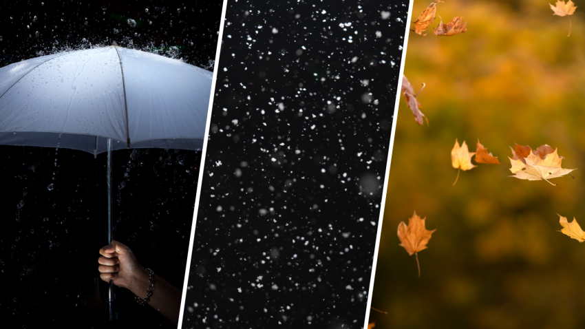 Umbrella, snow and leaves in wind