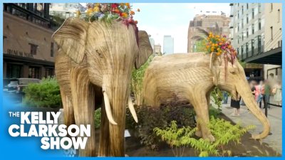 100 elephant sculptures travel across America to inspire human-wildlife coexistence