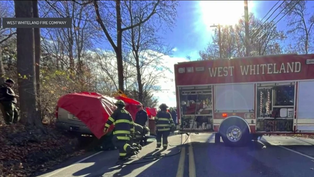 Woman killed after tree limb falls on SUV in West Chester – NBC10 ...