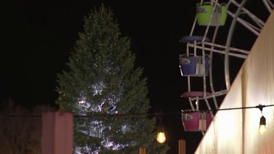 Ready to flip the switch on Independence Blue Cross RiverRink tree