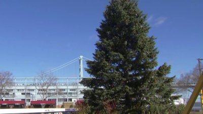 Setting stage to light Independence Blue Cross RiverRink holiday tree