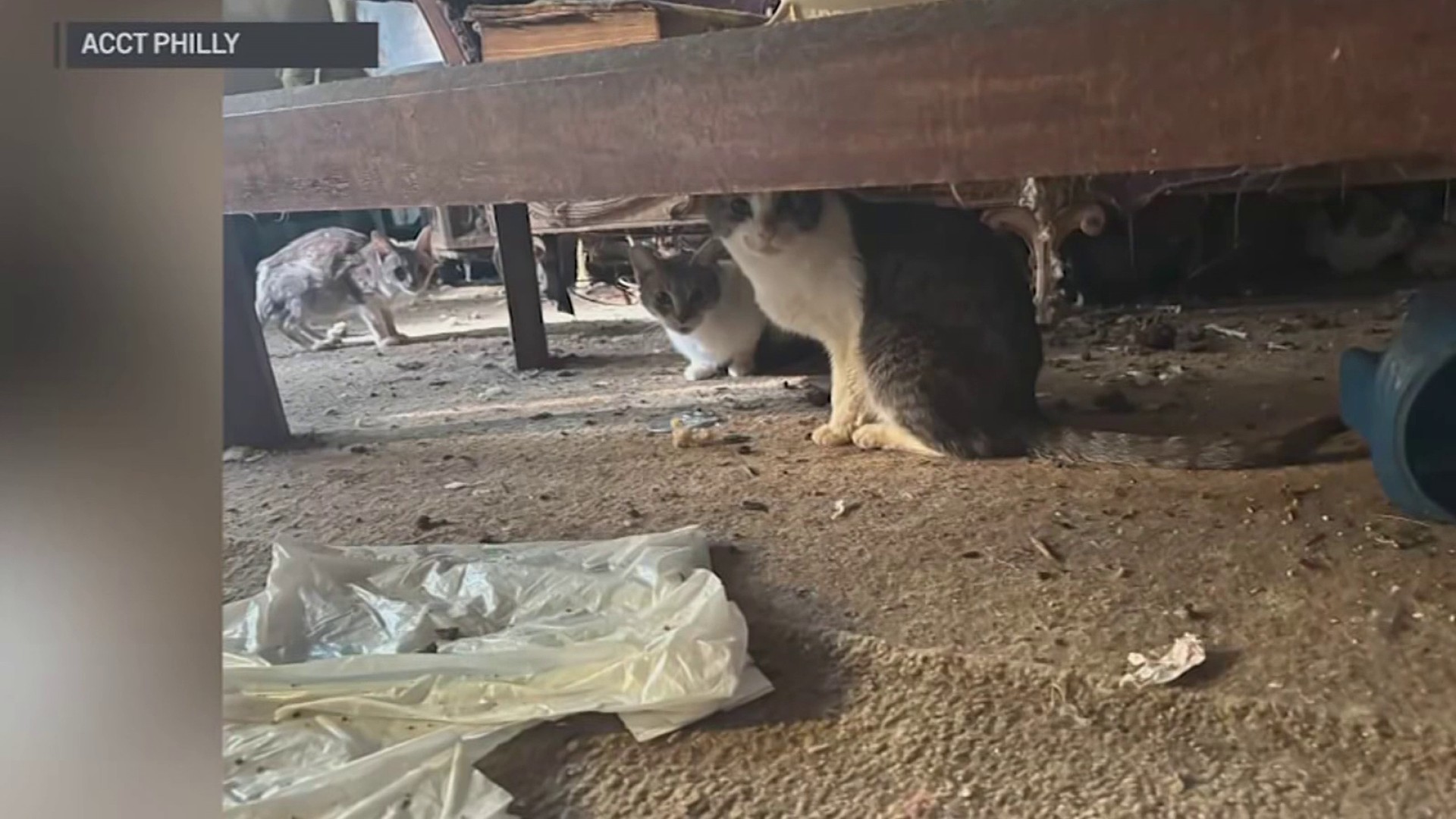 36509303714-1080pnbcstations.