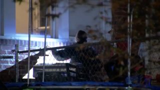 Police officials investigate after three men, allegedly, broke into a home in Philadelphia's Mayfair section during a home invasion robbery on Wednesday morning.