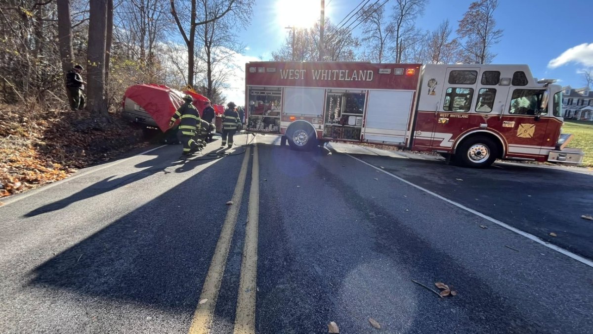 Woman dead, child hurt, after piece of tree falls on SUV in Pa. – NBC10 ...