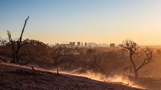 Burned trees from the Palisades Fire and dust blown by winds are seen from Will Rogers State Park, with the City of Los Angeles in the background, in the Pacific Palisades neighborhood on Jan. 15, 2025 in Los Angeles, California.