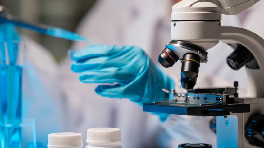 Scientist dropping a sample into a Petri dish