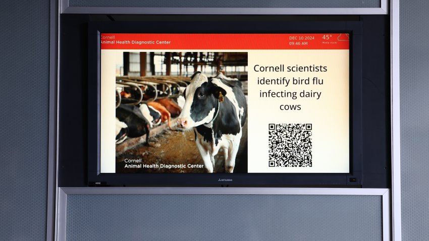 ITHACA, NEW YORK - DECEMBER 10: A bird flu ad is seen displayed at the Animal Health Diagnostic Center at Cornell University on December 10, 2024 in Ithaca, New York.