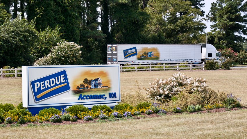 ACCOMAC, VIRGINIA, UNITED STATES – 2011/08/19: Perdue farms and chicken facility.