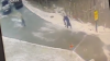 Caught on camera: Neighbor steps in to help man during bear attack in Jim Thorpe