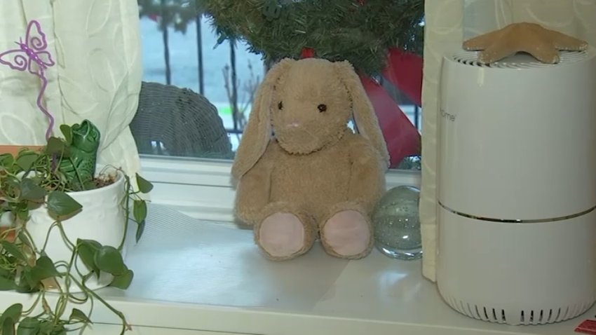 Stuffed bunny sitting in the window