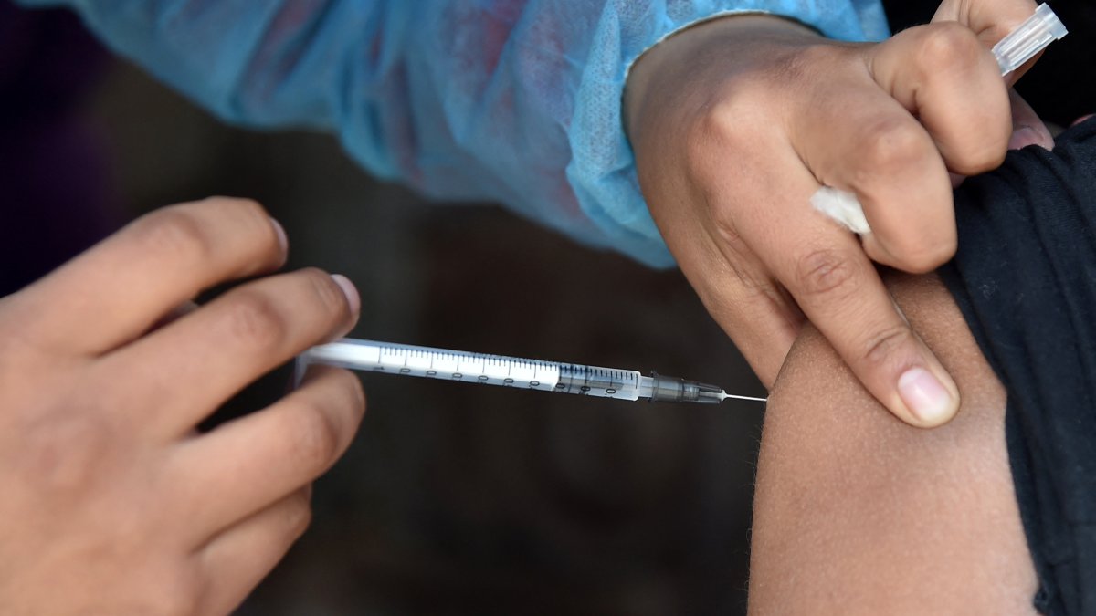 Is there a bird flu vaccine? Experts discuss H5N1 outbreak – NBC10 ...