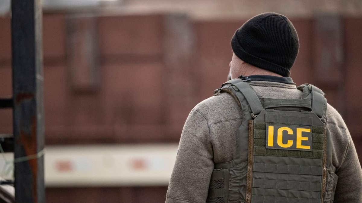 ICE has doubled in size in 1 year as recruitment efforts ramp up