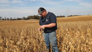 Soy farmer Caleb Ragland on his farm in Magnolia, Kentucky