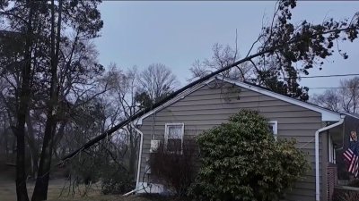 Cleanup underway after strong winds, heavy rains