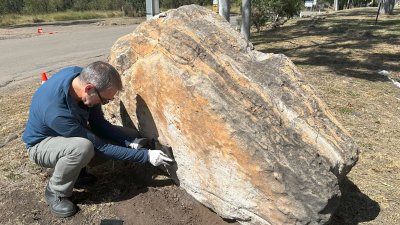 Increíble descubrimiento: hallan fósiles de dinosaurio de hace 200 millones de años en escuela