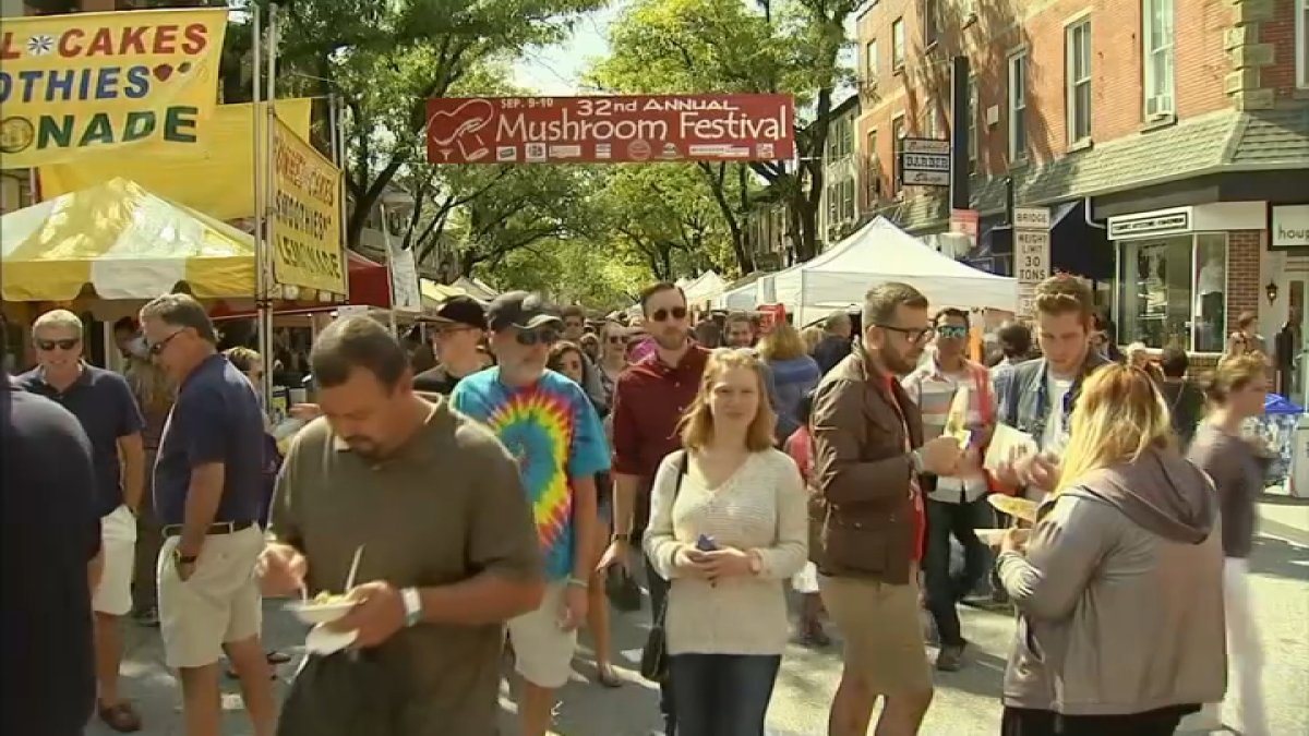 Kennett Square’s annual Mushroom Festival among 10 best in US – NBC10 ...